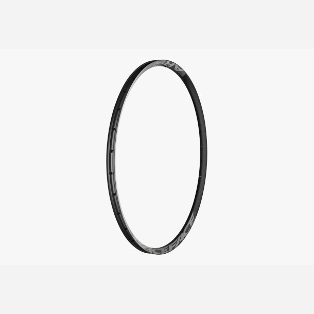 RACEFACE RIM AR OFFSET 25 29" 32H GRY 19
