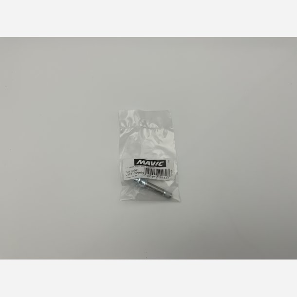 MAVIC D Axle RR end bolt M10/ED10