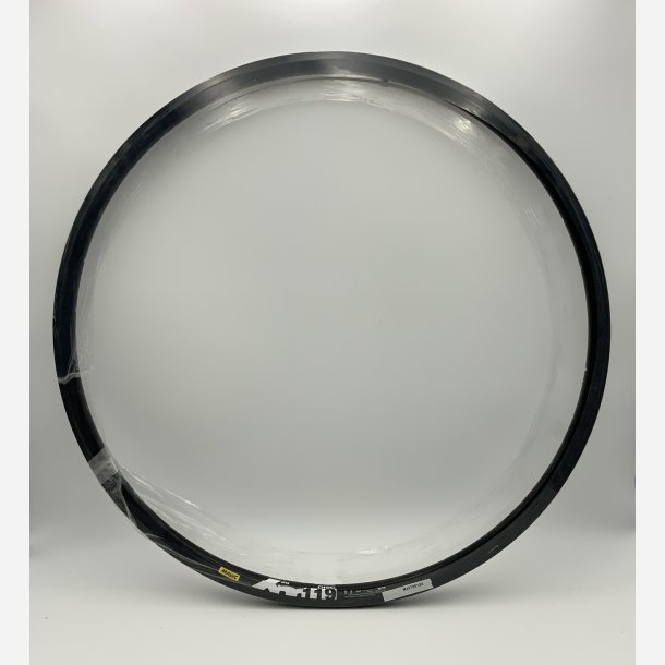 MAVIC rim 29" XM 119 Disc 16Black 32H